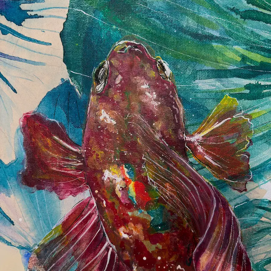 Betta II